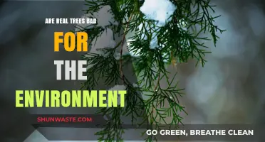 Real Trees vs. Environment: Uncovering the Ecological Impact of Live Trees