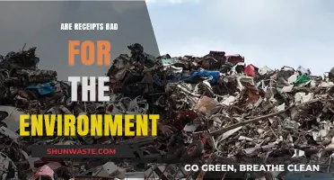 Are Receipts Eco-Friendly? Uncovering Their Environmental Impact and Solutions