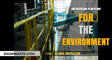 Recycling Plants: Environmental Savior or Hidden Eco-Hazard?