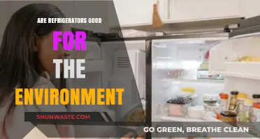Eco-Friendly Cooling: Are Refrigerators Environmentally Sustainable?