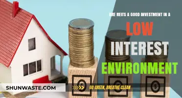 REITs in Low Interest Rates: Smart Investment or Risky Move?