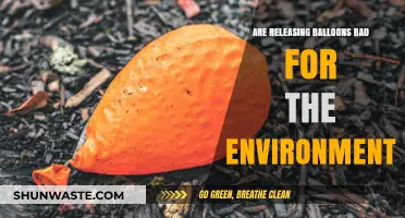 The Environmental Impact of Balloon Releases: Harmful or Harmless?