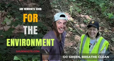 Are Remients Eco-Friendly? Exploring Their Environmental Impact and Benefits