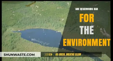 Reservoirs' Environmental Impact: Balancing Water Needs and Ecosystem Health