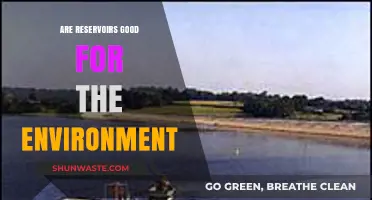 Reservoirs: Environmental Lifeline or Ecological Disruption? Exploring the Impact