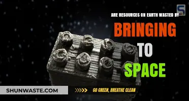Earth's Resources in Space: Wasteful Endeavor or Necessary Investment?