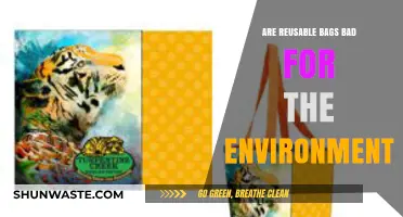Reusable Bags: Eco-Friendly Solution or Hidden Environmental Hazard?