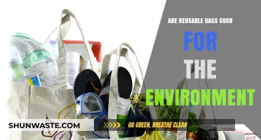 Reusable Bags vs. Plastic: Eco-Friendly Choice or Greenwashing Myth?