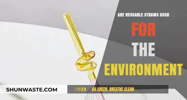 Reusable Straws: Eco-Friendly Solution or Environmental Myth?