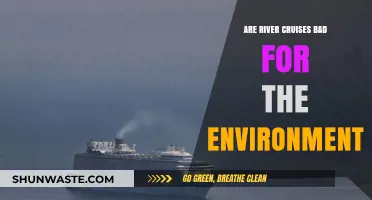 River Cruises and Their Environmental Impact: A Sustainable Travel Dilemma