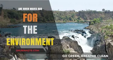 River Waves: Environmental Impact and Sustainable Surfing Solutions
