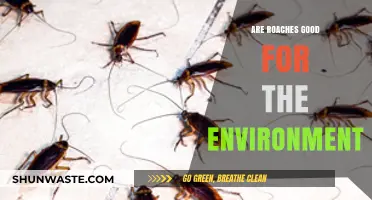 Cockroaches' Surprising Role: Environmental Allies or Just Pesky Pests?
