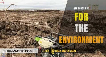 Roads' Environmental Impact: Uncovering the Hidden Costs of Connectivity