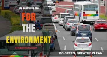 Eco-Impact of Road Trips: Are They Harming Our Planet?