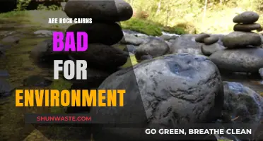 Rock Cairns: Environmental Hazard or Harmless Tradition?