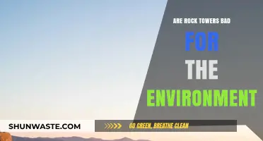 Rock Towers: Environmental Impact and the Debate Over Their Harm