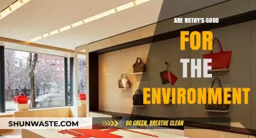 Are Rothy's Eco-Friendly? Unpacking Their Environmental Impact and Sustainability
