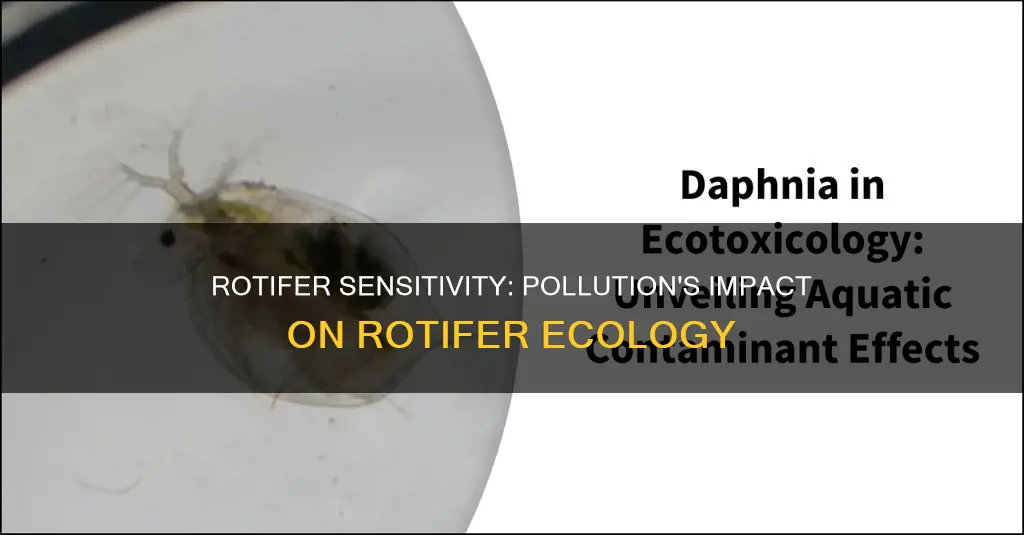 are rotifers sensitive to pollution