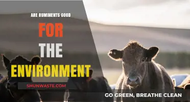 Ruminants and the Environment: Uncovering Their Ecological Impact and Benefits