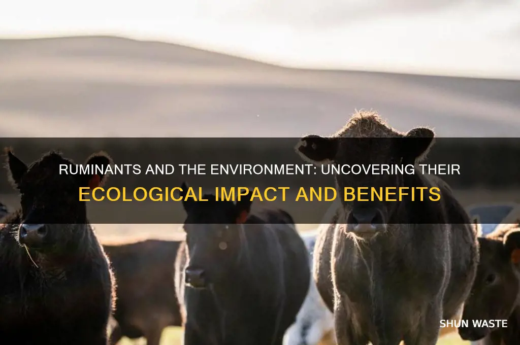 are ruminents good for the environment