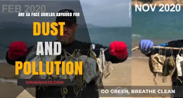 Face Shields: Effective Defense Against Dust and Pollution?