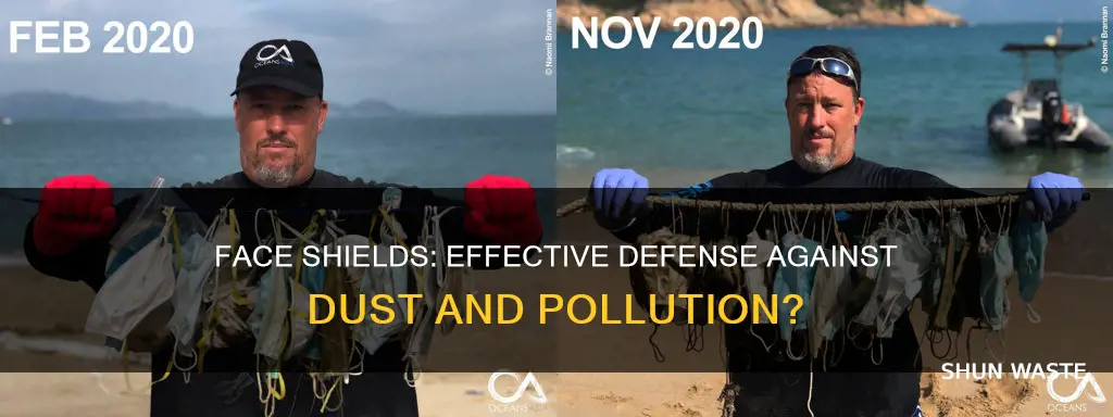 are sa face shields anygood for dust and pollution