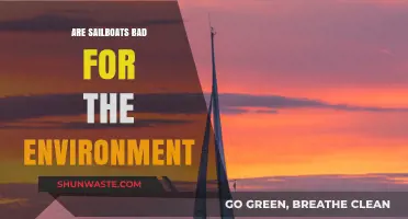 Sailing's Environmental Impact: Are Sailboats Eco-Friendly or Harmful?