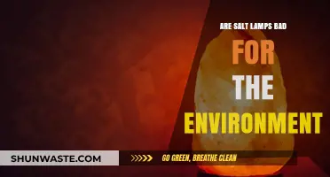 Environmental Impact of Salt Lamps: Sustainable or Harmful Choice?