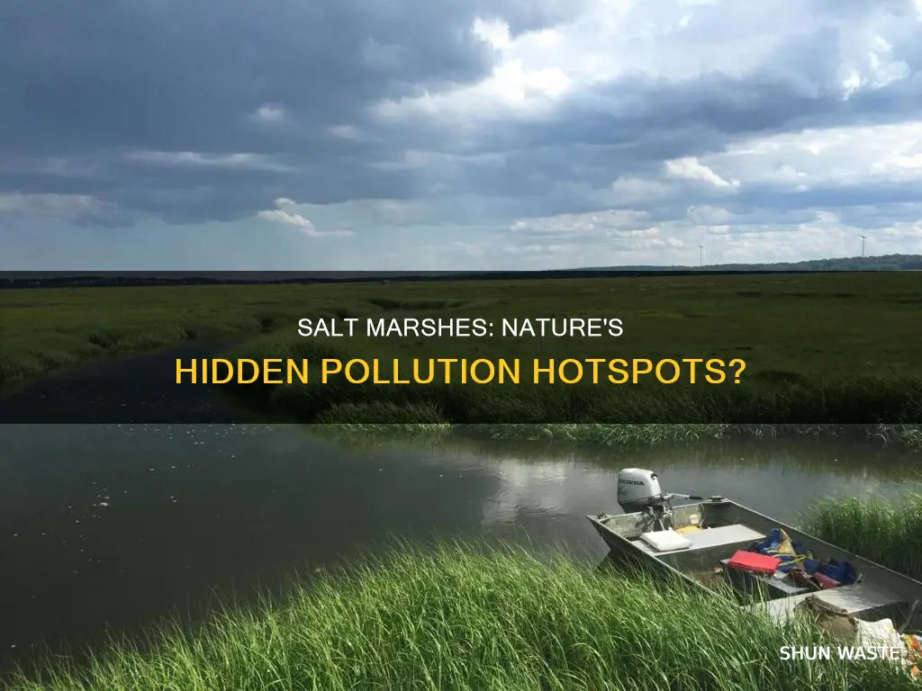 are salt marshes the most polluted body of water