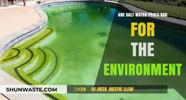 Environmental Impact of Saltwater Pools: Are They Eco-Friendly or Harmful?