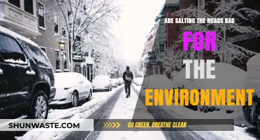 Road Salt's Environmental Impact: Balancing Safety and Ecological Consequences