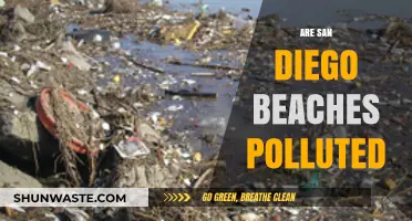 San Diego Beaches: Polluted Paradise?