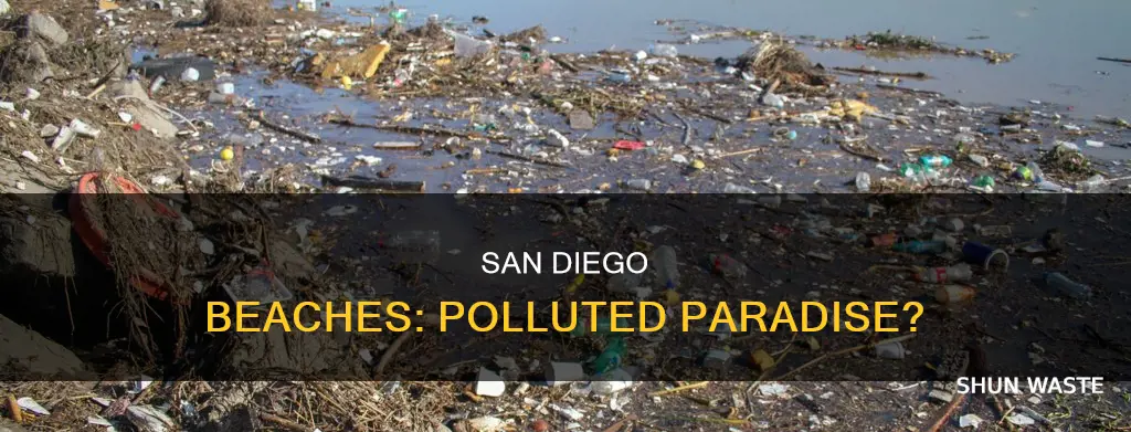 are san diego beaches polluted