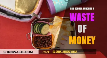 Are School Lunches Worth the Cost? A Critical Analysis