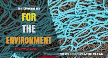 Eco-Friendly Hair Ties: Are Scrunchies Harming Our Planet?