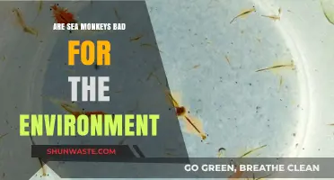 Are Sea Monkeys Eco-Friendly? Environmental Impact Explained