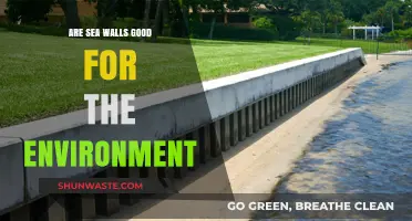 Sea Walls: Environmental Savior or Coastal Ecosystem Disruptor?