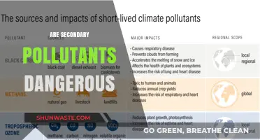 Secondary Pollutants: A Hidden Danger Lurking in the Air?