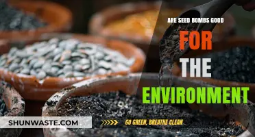 Seed Bombs: Eco-Friendly Solution or Environmental Concern?