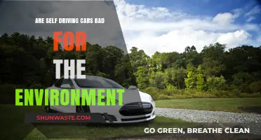Self-Driving Cars: Eco-Friendly Innovation or Environmental Concern?