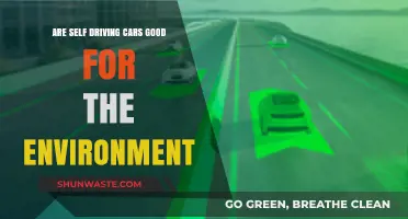 Self-Driving Cars: Eco-Friendly Revolution or Environmental Challenge?