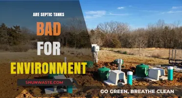 Are Septic Tanks Eco-Friendly? Uncovering Their Environmental Impact
