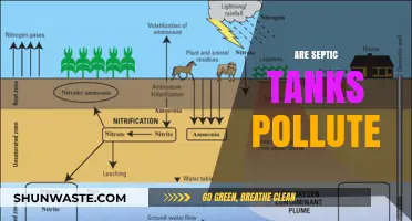Septic Tanks: Pollution or Safe Wastewater Treatment?