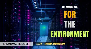 Servers' Environmental Impact: Uncovering the Hidden Costs of Digital Infrastructure