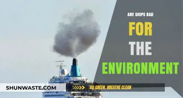 Ships and the Environment: Uncovering the Ecological Impact of Maritime Travel