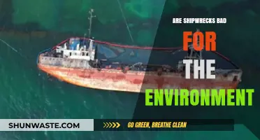Shipwrecks' Environmental Impact: Harmful or Beneficial for Marine Ecosystems?