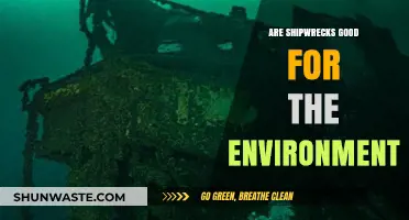 Shipwrecks: Environmental Hazards or Unexpected Ocean Sanctuaries?