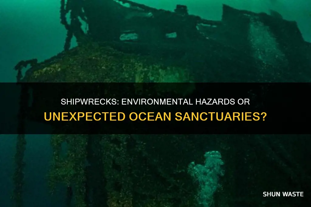 are shipwrecks good for the environment