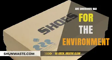 Shoeboxes and Sustainability: Unpacking Their Environmental Impact