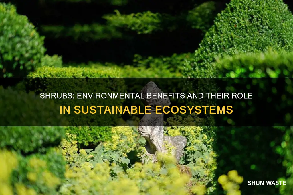 are shrubs good for the environment